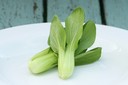 Green stemmed Pak Choi