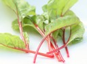 Red Chard